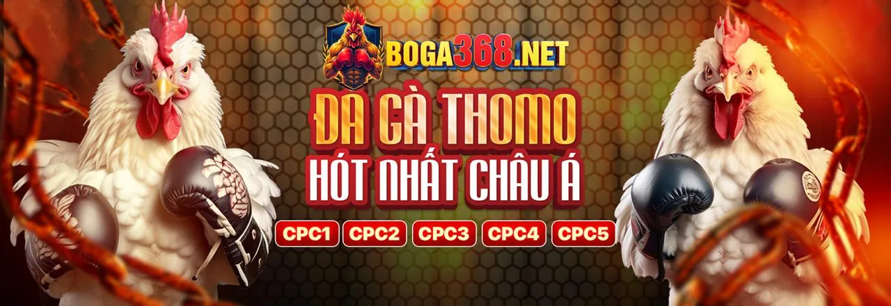 Chính sách công bằng good888 code